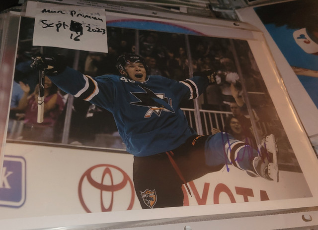 Tomas Hertl signed 8x10 photos Sharks Hockey/Photos 8x10 signées dans Art et objets de collection  à Ville de Montréal