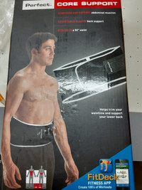 Perfect core back support belt