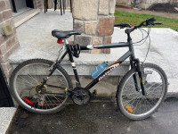 Raleigh Tomahawk adult bike 