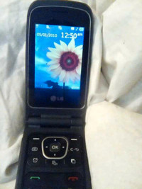 LG A341  Flip Phone 