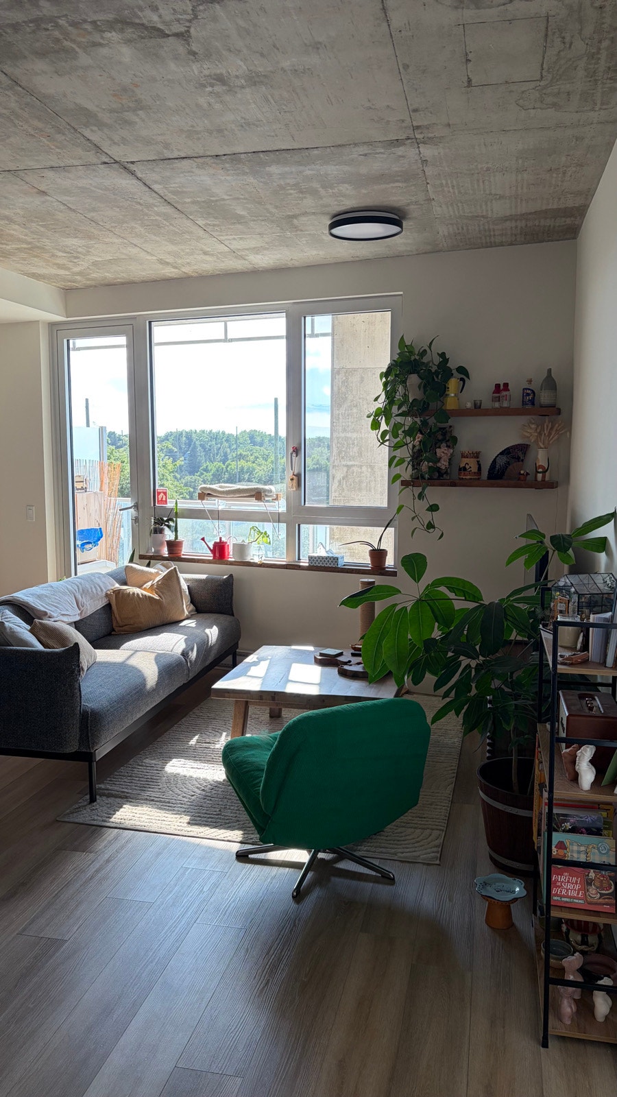 5050 Bd de l'Assomption — photo 2