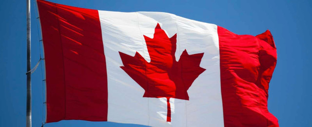 CASH 4 LIEN CARS in Cars & Trucks in Mississauga / Peel Region