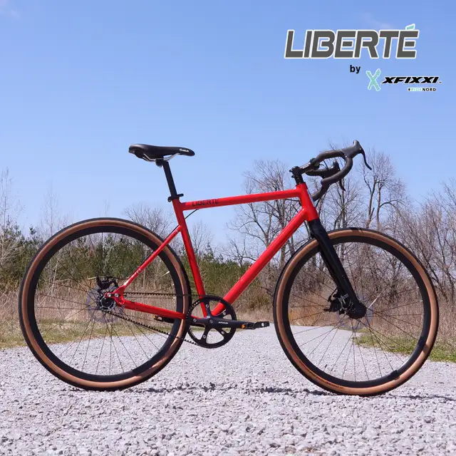 Liberté Belt-Drive All-Terrain Single Speed Bike-FREE SHIPPING in Fixie (Single Speed) in City of Toronto - Image 2