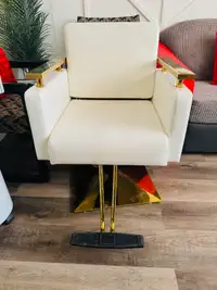 Hair Salon Chair