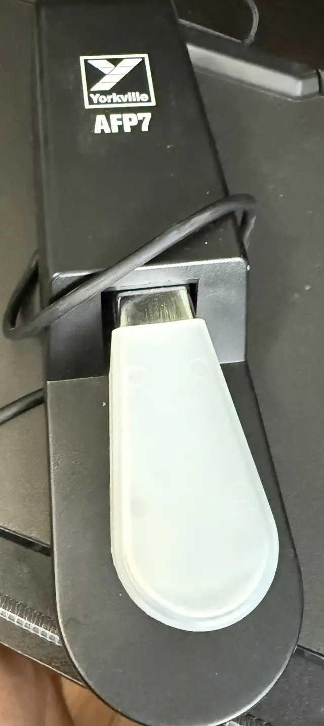 sustain pedal in Amps & Pedals in Mississauga / Peel Region - Image 2