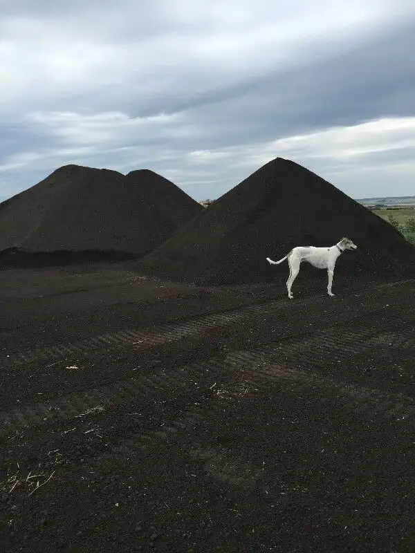 PREMIUM SCREENED TOPSOIL $25/yrd in Plants, Fertilizer & Soil in Saskatoon - Image 8