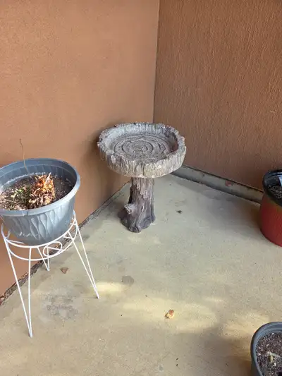 Bird Bath, View more