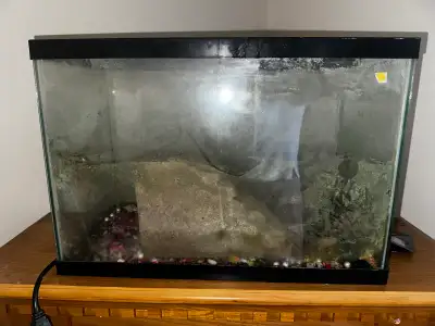 fish tank, View more