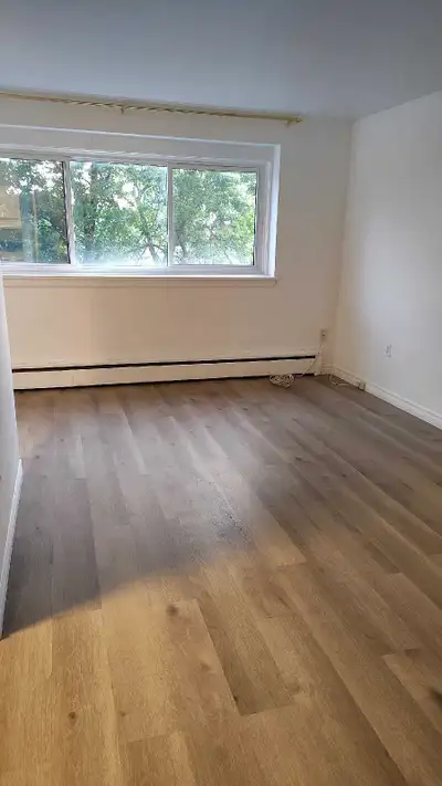 1 bed 1 bath