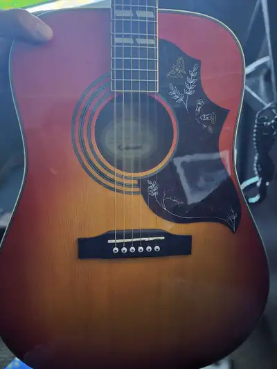 Epiphone Hummingbird Pro/FC, View more