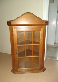 Curio Cabinet (Vintage wall mount storage)
