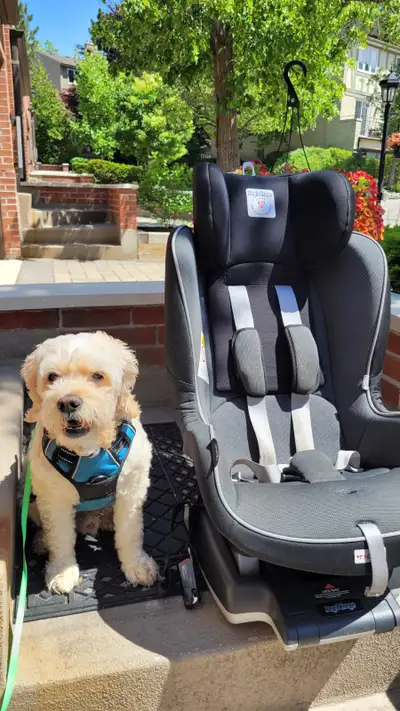 Car Seat for kids, View more