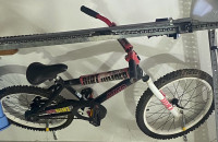 20" boys bmx bike