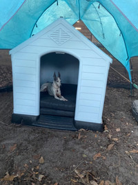 32" High Waterproof Ventilate dog house medium Kennel wi