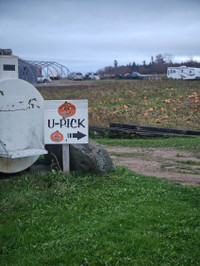 Farm workers