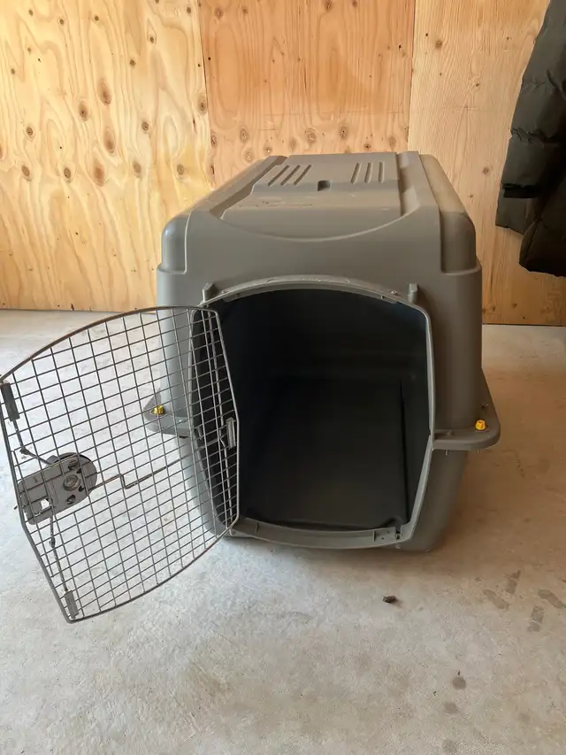 Cage in Accessories in Lanaudière - Image 3