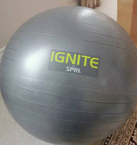 Fitness ball 65 CM w hand pump stability ball Ignite total body