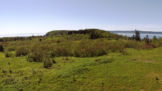 Oceanfront Property Bay of Fundy in Parrsboro in Land for Sale in City of Halifax - Image 3