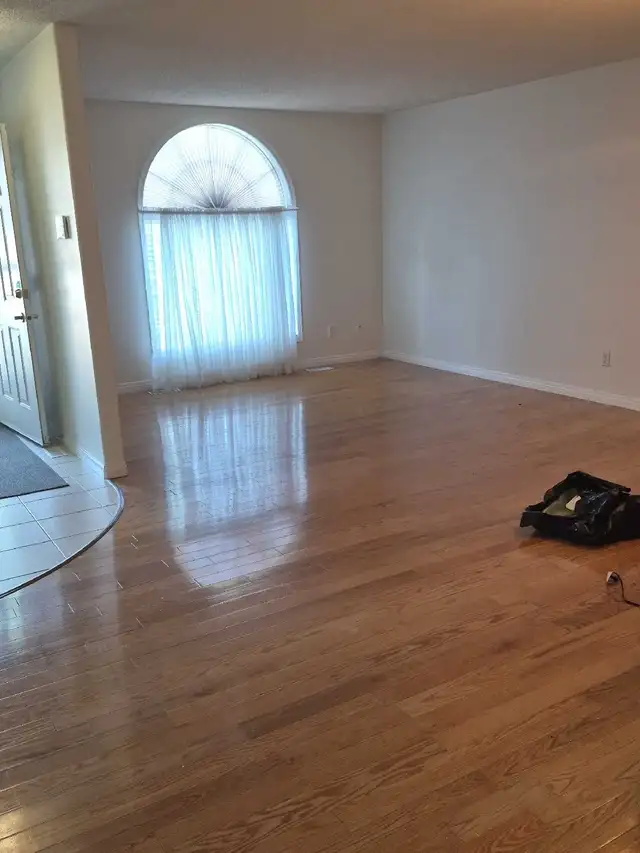 Painter looking for cash jobs, 
