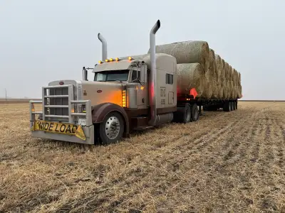 38 bales a load. By the mile or by the bale for short. Contact for a quote 306-891-1380