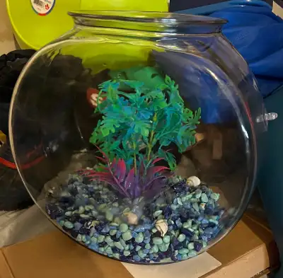 Fish bowl, rocks, plant, air bubbles pump, fish net and fish food All for 50$