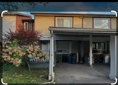 room for rent