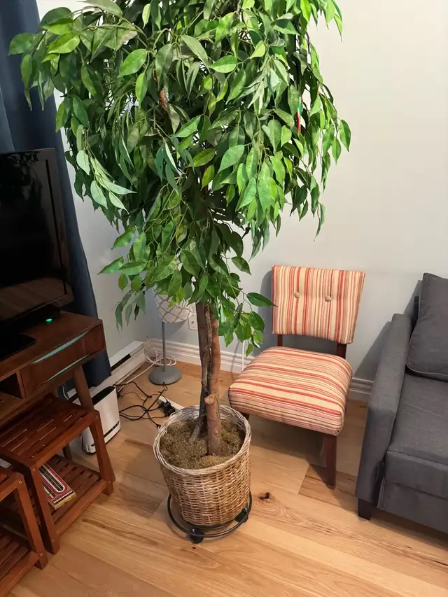 Artifical Indoor Tree