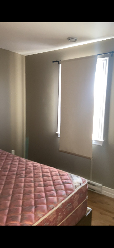 Room for rent in 3 bedroom full house in Room Rentals & Roommates in Moncton - Image 2