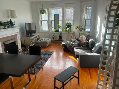 Friendly Downtown Apartment Seeking Two Student Roommates