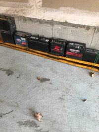 Used car battery $40each many to choose