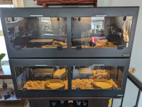 Two Cornell's World PVC Reptile enclosures