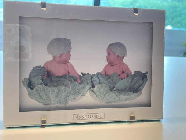 ANNE GEDDES PHOTO in Arts & Collectibles in Guelph - Image 4