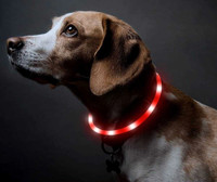 NEW Red LED Lights Rechargeable Dog Cat Collar