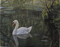 ROBERT BATEMAN - SYLVAN STREAM - IN ORIGINAL FOLIO