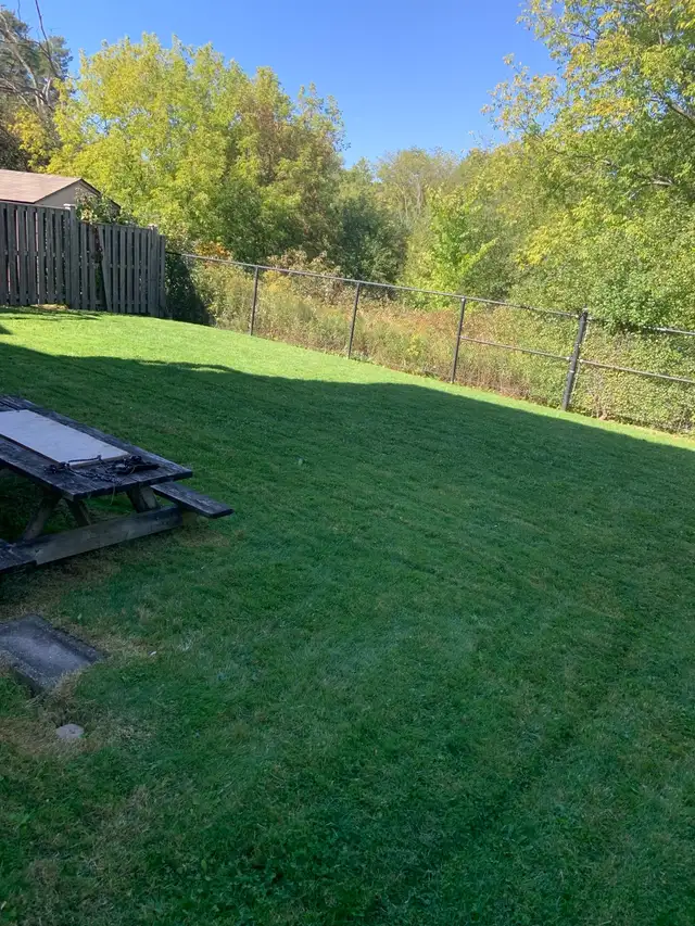 Etobicoke Leaf Removal Service