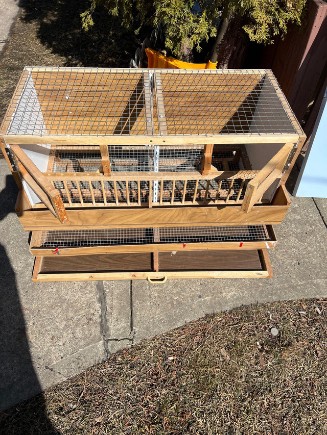 For sale cage for quails  in Animal & Pet Services in La Ronge - Image 3