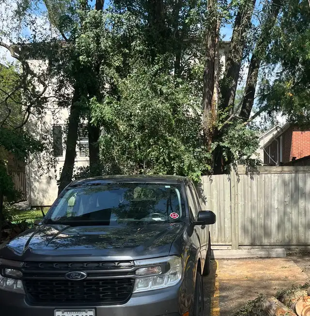 Tree Removal | Tree Trimming | Fully Insured | (416) 206-1460 in Lawn, Tree Maintenance & Eavestrough in City of Toronto - Image 4