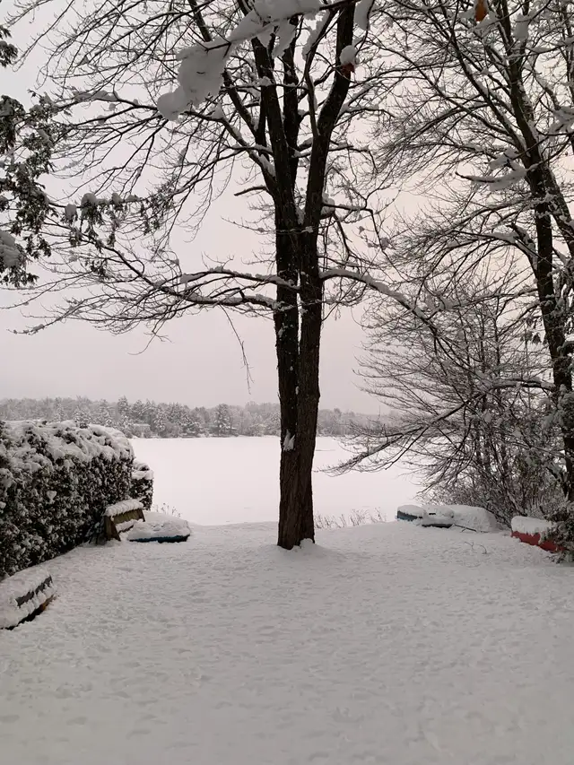 CHALET **Lac Selby** Dunham (Cantons de lEst) - Mois de FÉVRIER in Quebec in Canada - Image 6