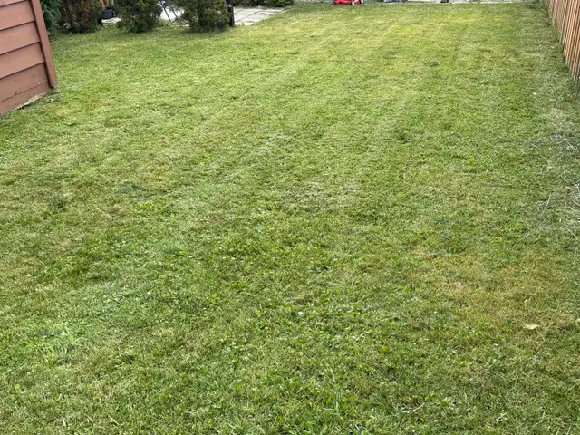 20$ for this week*| WeekEnd Lawn Mowing Services551585350482012164