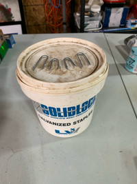 10 pound pail of fencing staples 