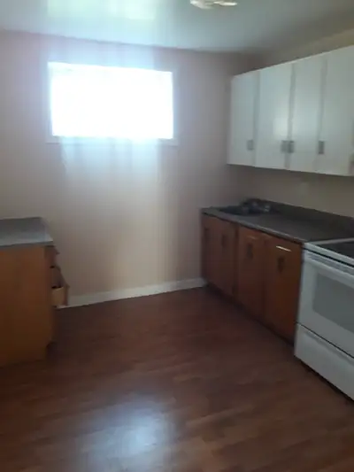 Large, bright, 2 bedroom basement apartment with large living room and large laundry room with washe...