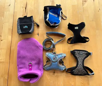 Accessoires chiens, View more