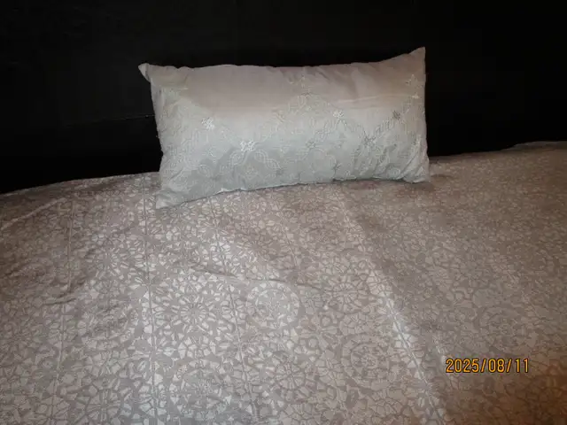 QUEEN COMFORTER  &  Cushion in Bedding in Hamilton - Image 2