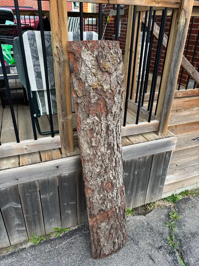 Handmade Welcome Sign Painted Made From Tree Outdoor Garden in Outdoor Décor in Kitchener / Waterloo - Image 7