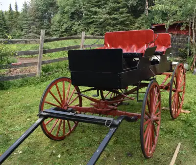 4 Seater Spring Wagon, View more