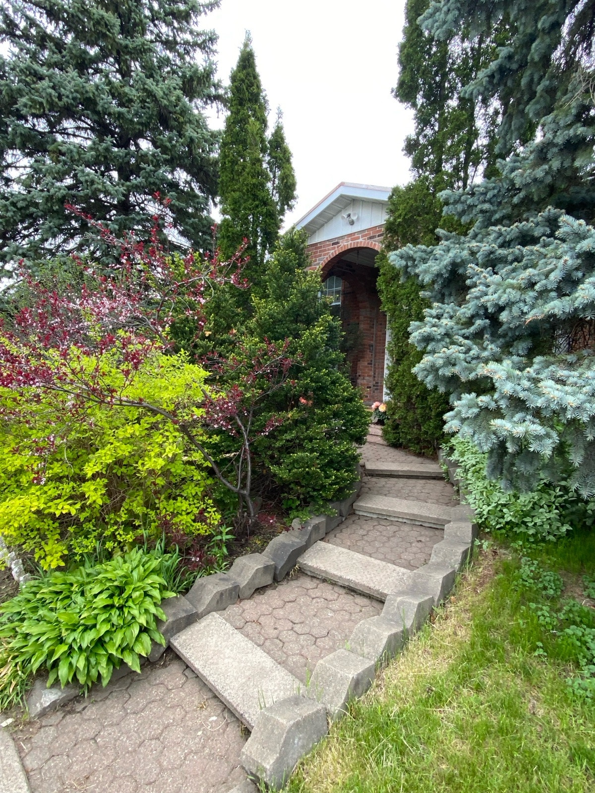 maison de chambres à Laval près du métro — photo 2