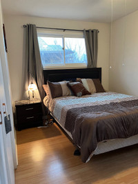 Furnished 1 bedroom for rent in Port Elgin for contract workers