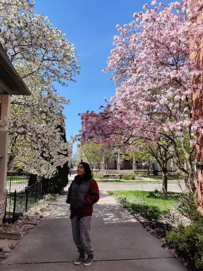 Toronto Retreat! Best Spot in the city with local guide , View more