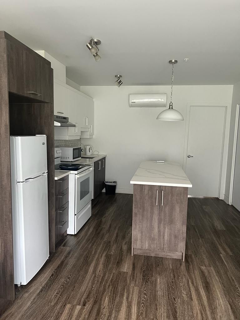 Condo Appartement 3 1/2 à louer STHUBERT (Longueuil) Locations