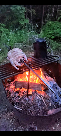 Fire Spit for meat, poultry BBQ Bushcraft